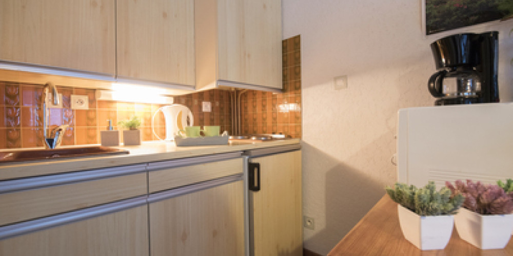 appartement à ST LARY SOULAN (65170)